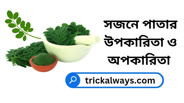 সজনে পাতার উপকারিতা ও অপকারিতা এবং খাওয়ার নিয়ম