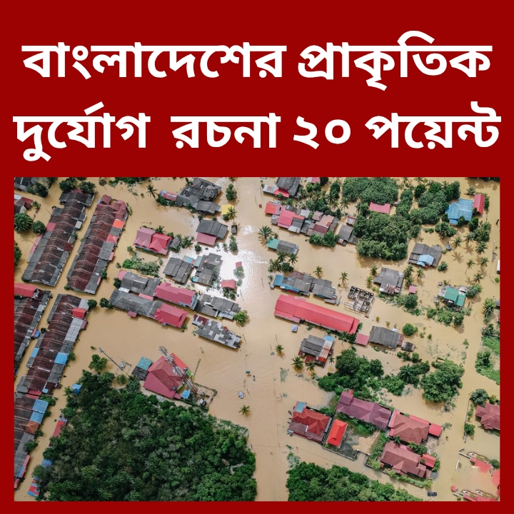 বাংলাদেশের প্রাকৃতিক দুর্যোগ ও তার প্রতিকার রচনা ২০ পয়েন্ট, বাংলাদেশের প্রাকৃতিক দুর্যোগ রচনা ২০ পয়েন্ট,বাংলাদেশের প্রাকৃতিক দুর্যোগের কারণ সমূহ,বাংলাদেশের প্রাকৃতিক দুর্যোগ রচনা ২০ পয়েন্ট pdf