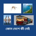 কোন দেশে কী নেই — ৫০টি সাধারণ জ্ঞানের আইটেম