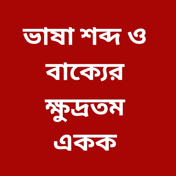 ভাষা শব্দ ও বাক্যের ক্ষুদ্রতম একক কী? বিস্তারিত জানুন
